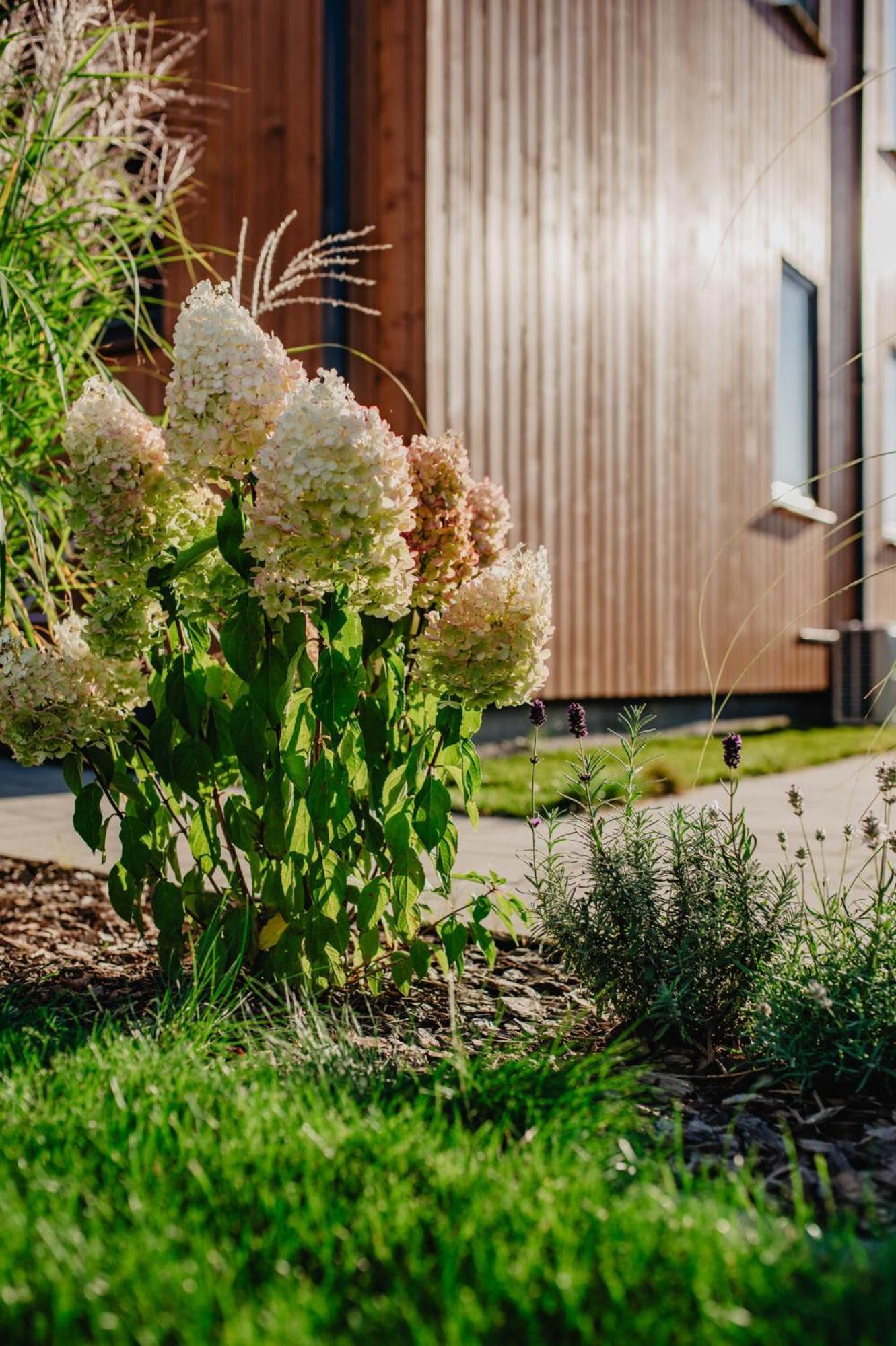 Dwa Brzegi Apartment Мендзиводзе Екстериор снимка